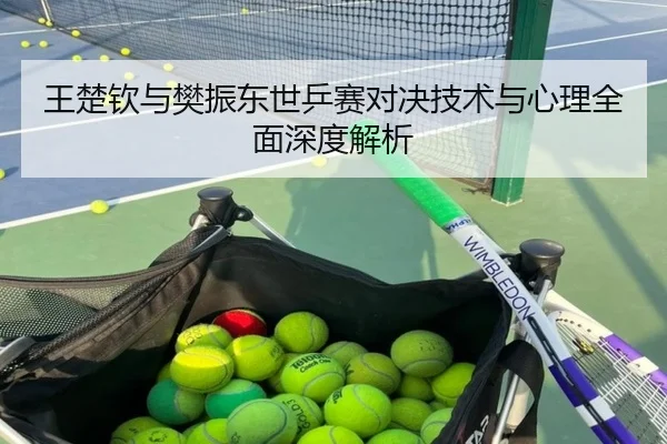 王楚钦与樊振东世乒赛对决技术与心理全面深度解析