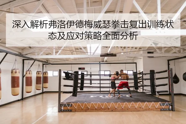 深入解析弗洛伊德梅威瑟拳击复出训练状态及应对策略全面分析